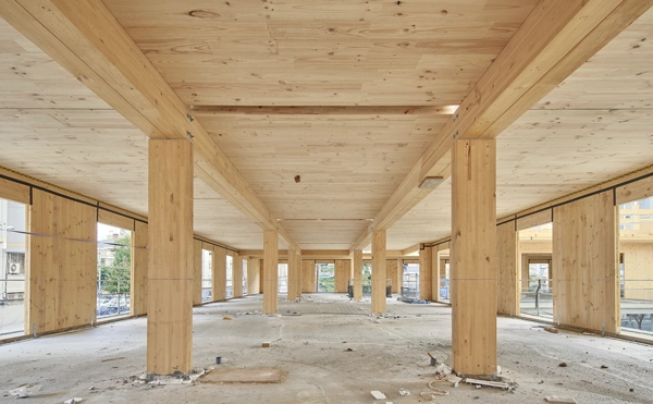 Más madera, que (no) es la guerra